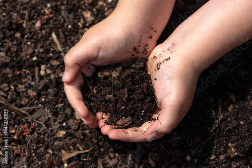 Obraz na płótnie Kid holding soil. Child planting. Small hands with ground. Soil in kids hands. Spring gardening. Farm life for kid. Earth in tiny hands. Rural childhood. Kid holding soil. Kid grasping rich soil. w salonie
