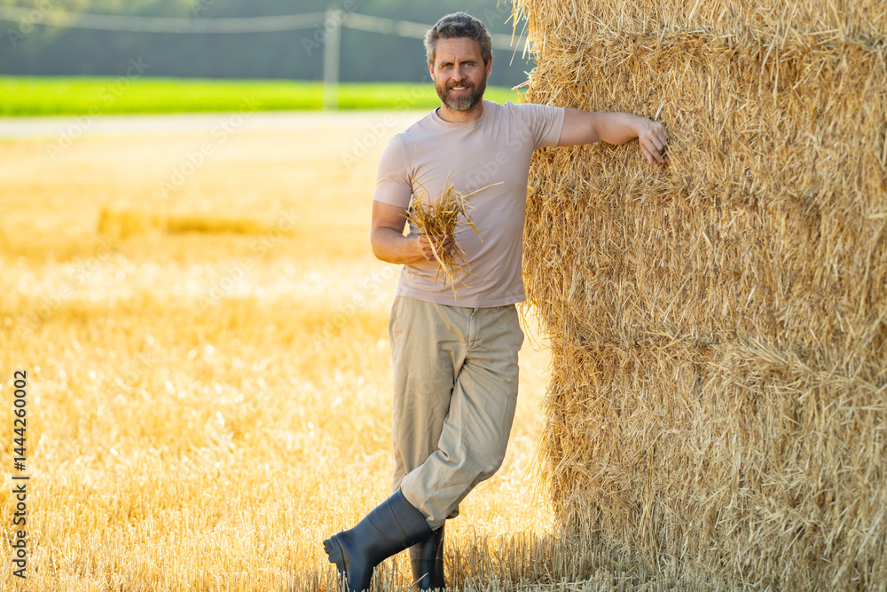 Hispanic man farmer keeping hay. Farmer In Wheat Field After Harvest Examining Hay. Crops After Harvesting. Farm Lifestyle. Barn, Hay Rolled Bales. Hay On Farm. Livestock Farming.