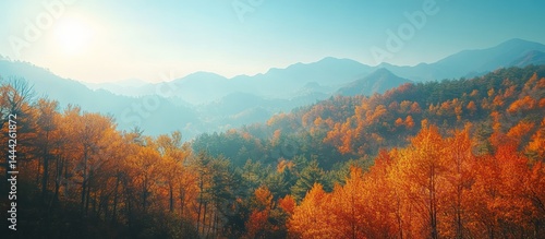 Autumn mountain forest sunrise vista