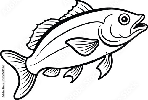 cod fish outline vector illustration  on white background