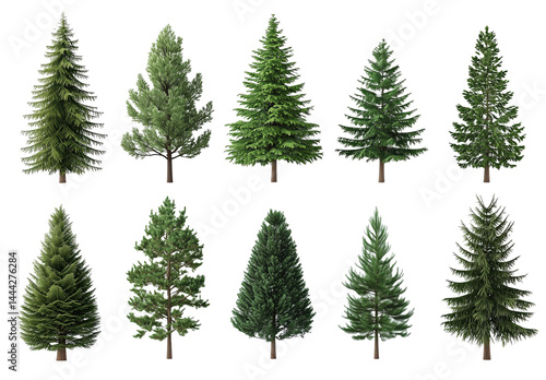 set of christmas trees