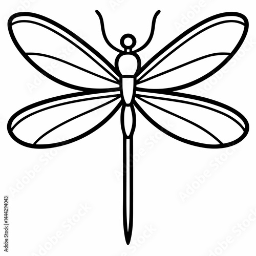 dragonfly on white background