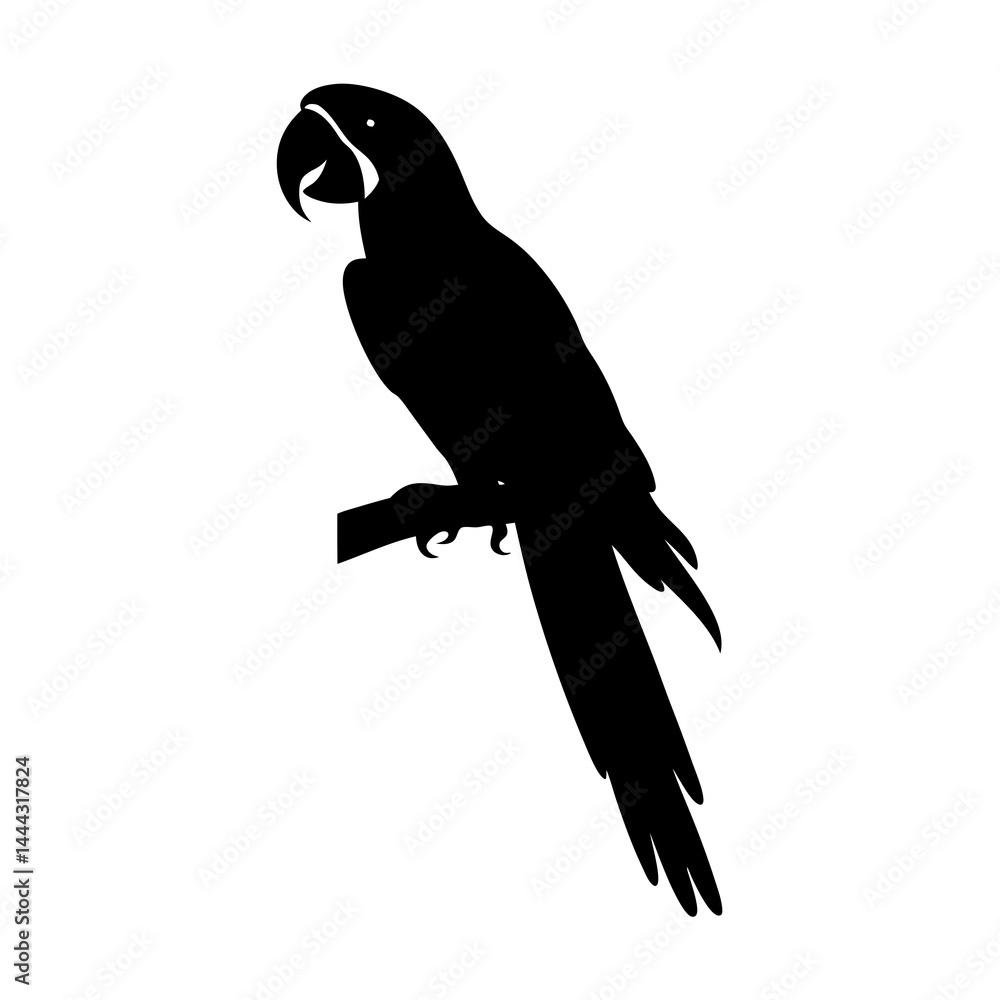 Fototapeta premium Silhouette of a parrot macaw sitting on a branch in side profile with detailed feathers