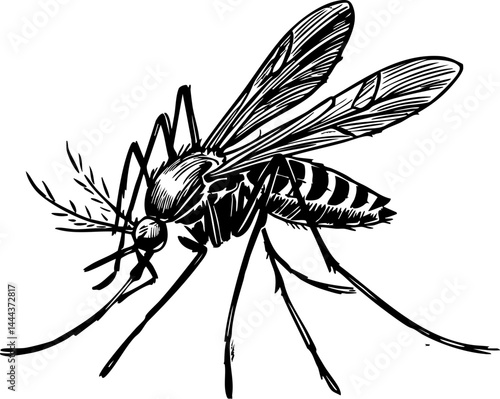 Observing summer mosquito swarms tropical regions wildlife illustration close-up view nature's pests intricate details