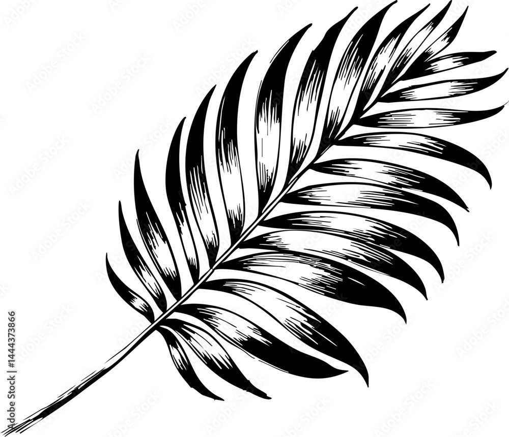 Obraz premium Vibrant summer palm leaf photography nature scene tropical environment close-up perspective