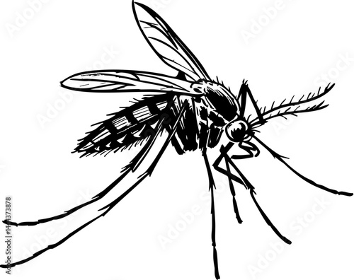 Summer mosquito infestation outdoor locations insect photography natural environment close-up view pest control awareness