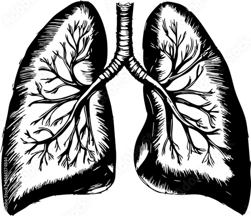 Understanding human lungs anatomy illustration medical education digital clinical setting close-up health awareness