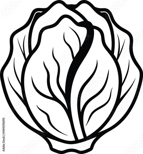 Chinese cabbage drawn in continuous single line style capturing the natural shape of the vegetable perfect for food illustrations healthy eating content or recipe art