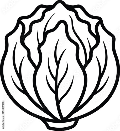 Line art of Chinese cabbage in continuous minimalist style ideal for vegetable garden visuals vegan recipes or organic food branding materials and creative designs