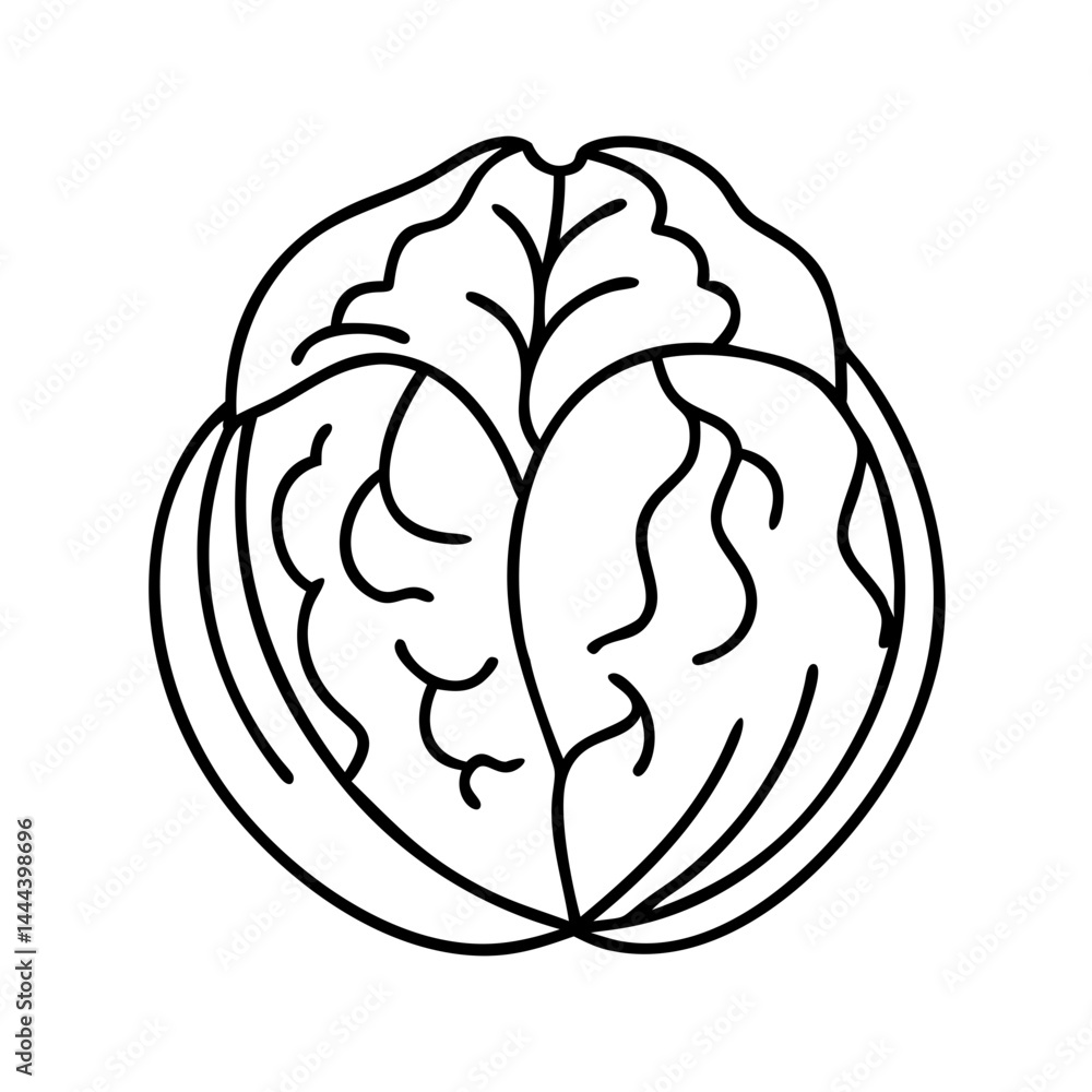 walnut icon, walnut line art - simple line art of walnut, perfect for walnut logos and icons walnut icon, walnut line art - simple line art of walnut, perfect for walnut logos and icons