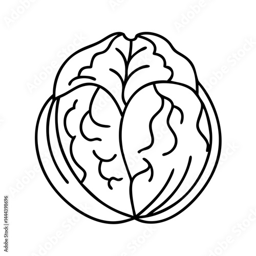 walnut icon, walnut line art - simple line art of walnut, perfect for walnut logos and icons