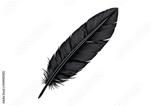 Eagle feather silhouette. This image showcases the detailed vector clipart of an eagle feather, also called a quill or plume, in a sleek black and white style. Vector clipart illustration design.