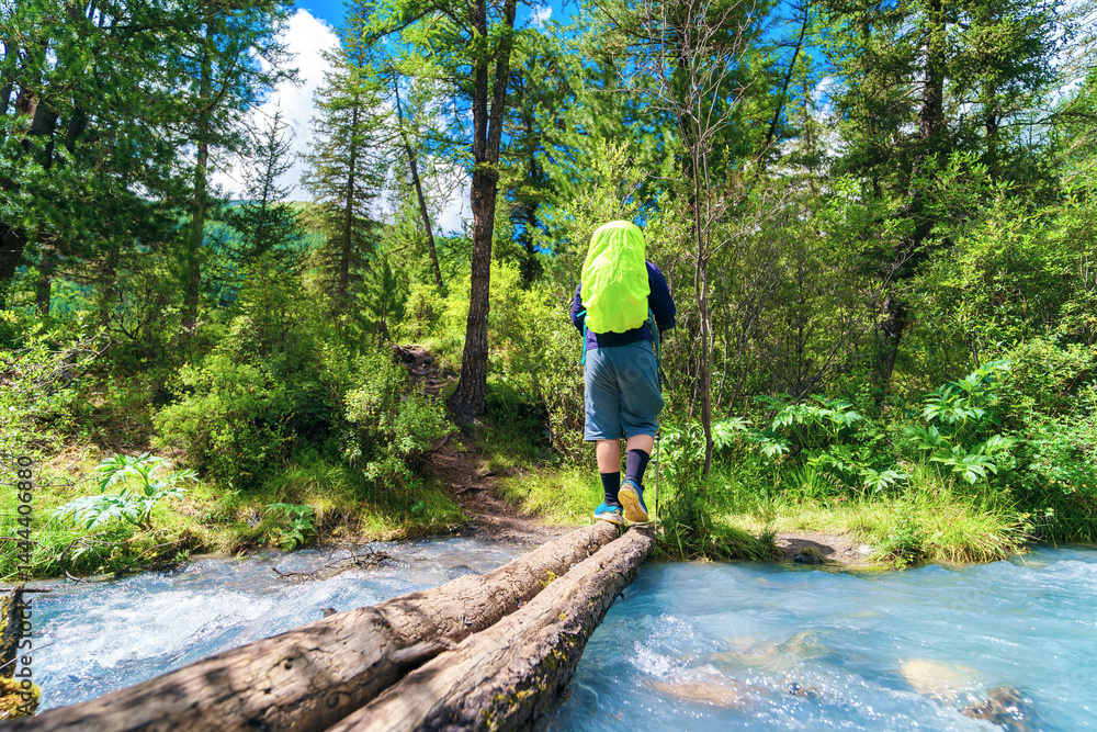 Hiking in the wild improves not only physical health, but also mental health.
