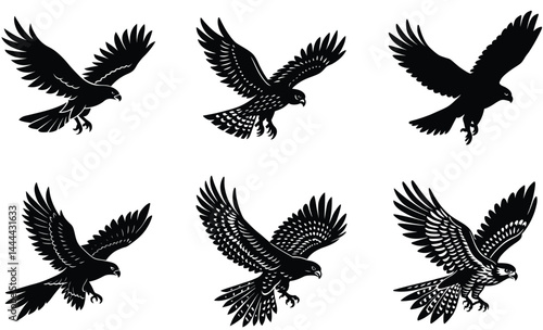 Hawk diving for prey silhouette black vector art design set
