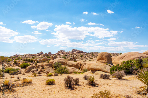 Desert