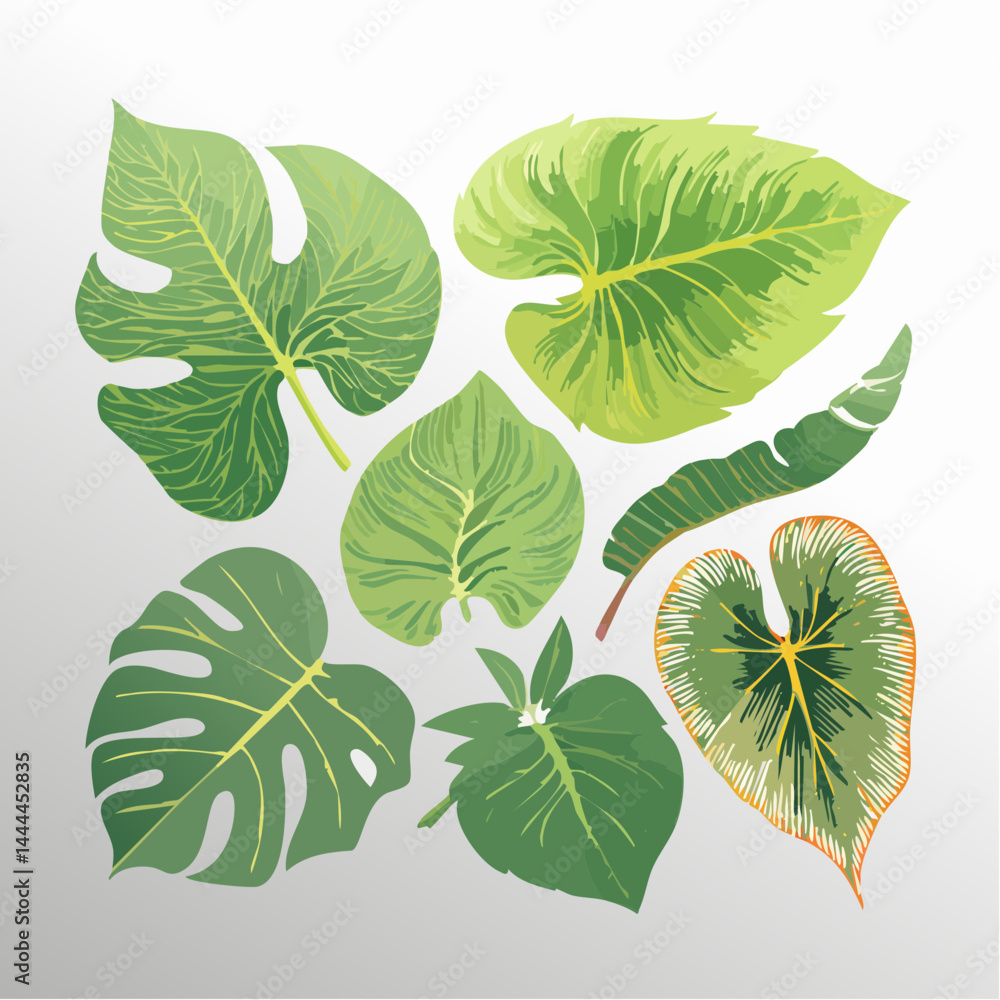 Collection Of Lush Green Tropical Leaves On White Background Collection Of Lush Green Tropical Leaves On White Background