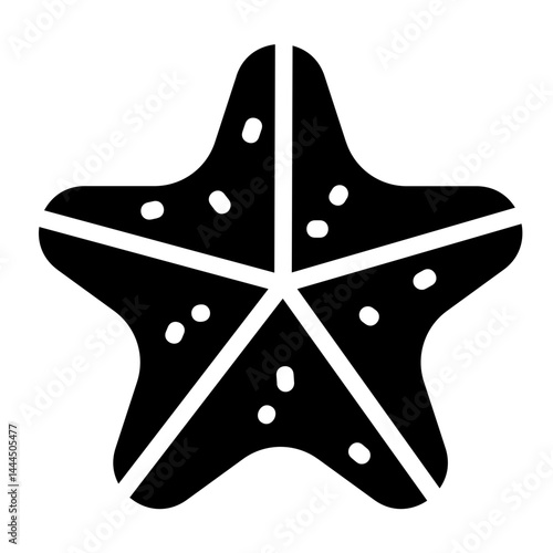 Starfish Solid Icon