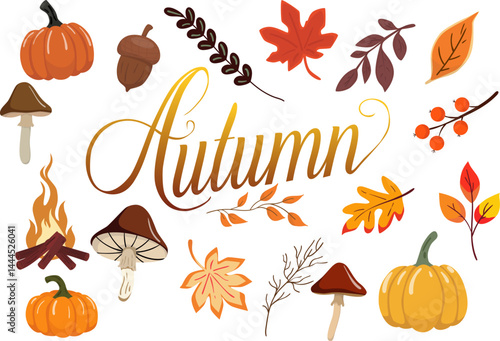Autumn set of vector illustrations of mushrooms, leaves, pumpkin, fire, acorn. Autumn sticker set.