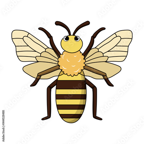 Honey bee vector illustration with yellow color