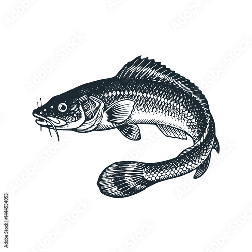 Cat fish – Black and White Icon Vector and Illustration