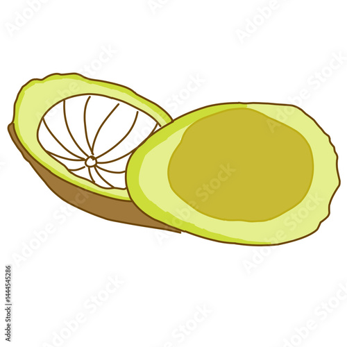 illustration presents a halved dogfruit, clearly showing its smooth, light-colored interior and darker outer skin