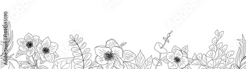 Foto Helleborus, Christmas rose flowers and tropical leaves Horizontal banner, floral overlay backdrop