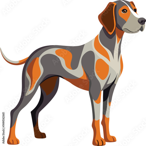 Hunting dog Vector 