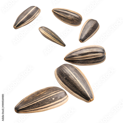 Wallpaper Mural HighQuality Sunflower Seeds Image of Roasted Raw and Organic Seeds isolated on transparent background Torontodigital.ca