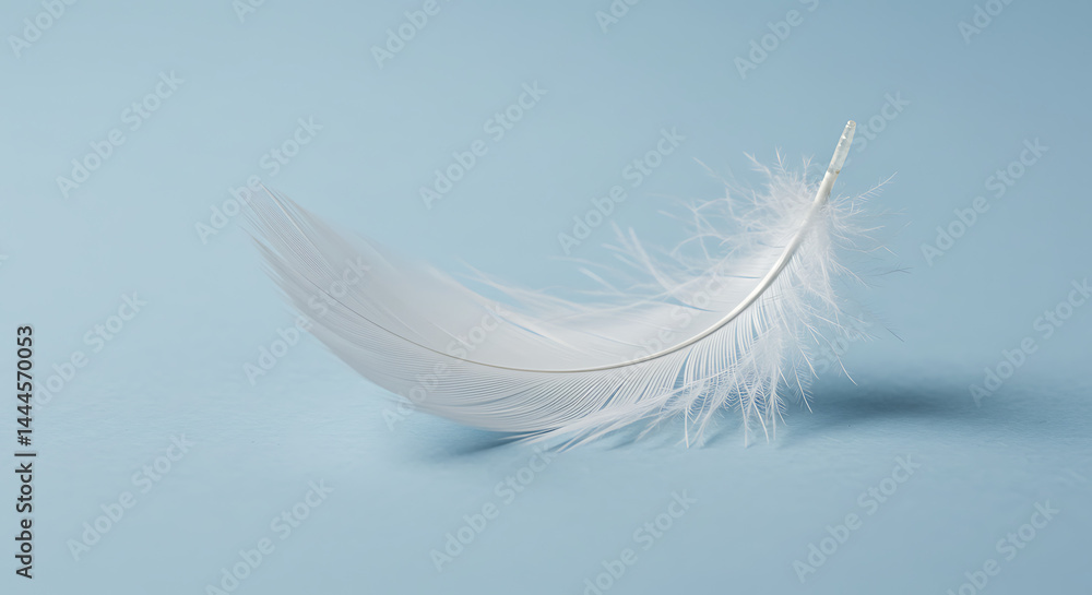 Fototapeta premium Single Delicate White Feather on Pale Blue Background