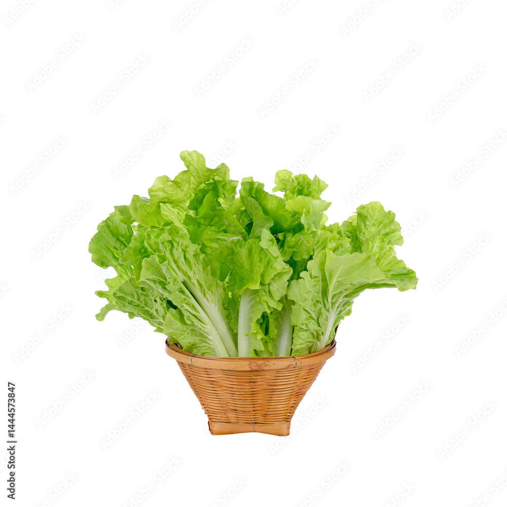 fresh green lettuce in a basket fresh green lettuce in a basket