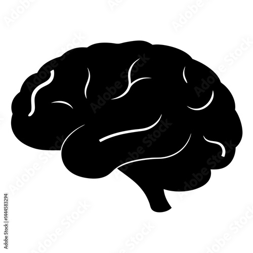A black and white silhouette of a human brain showing its detailed anatomical structure