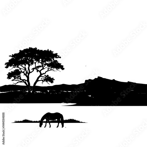 Photography elephants in the forest