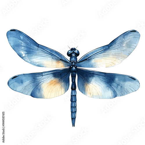 watercolor of Dragonfly Flying Over A River, vector, isolated on a white background.