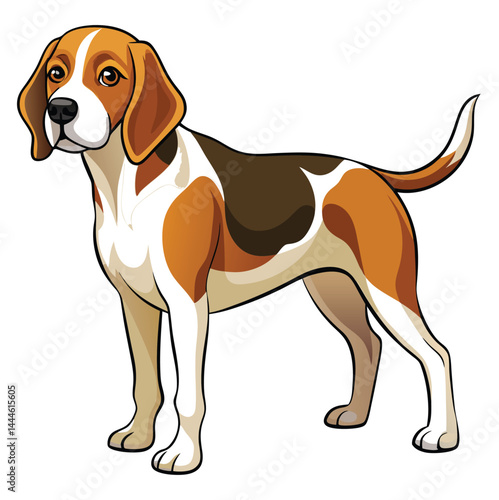 Beagle Hunting Dog Vector illustration 