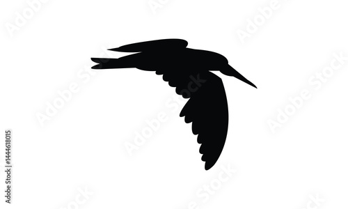Flying African skimmer bird Silhouette Design  And Vector Illustration. 