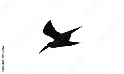 Flying African skimmer bird Silhouette Design  And Vector Illustration. 