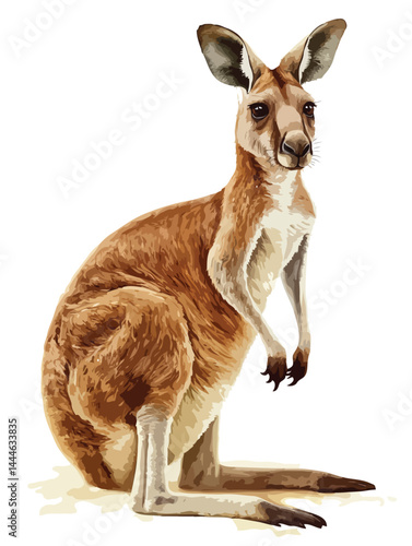 kangaroo vector art