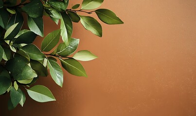 A light beige background with two green leafy branches in the top and lower left corner 
