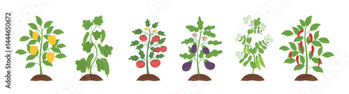Gardening, spring, farming and healthy eating concept. Set of growing vegetables in the soil isolated on white. Vector hand drawn cliparts in flat style.