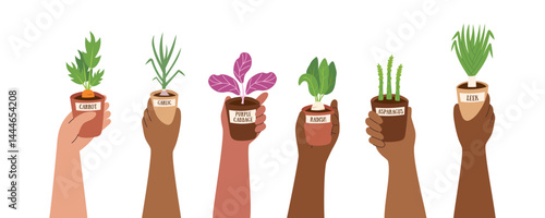 Set of human hands holding vegetable seedlings in small pots isolated on white. Gardening and farming concept. Healthy food and home garden concept. Vector hand drawn template.