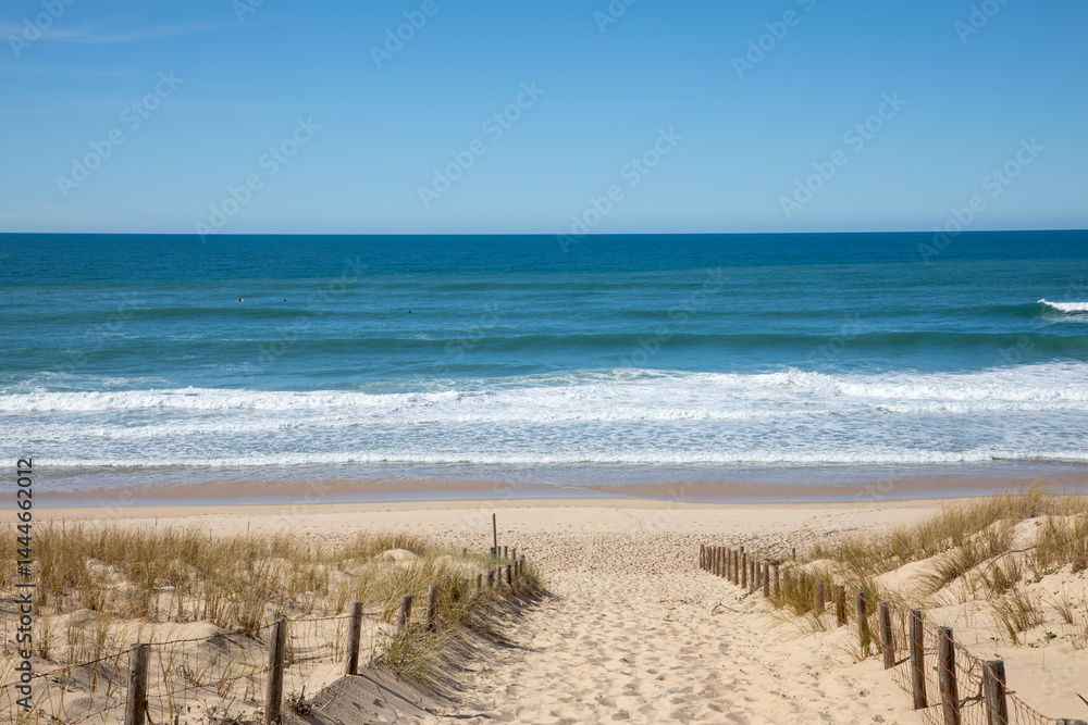 sandy pathway dunes sand access sea atlantic ocean beach in grand crohot in lege cap-ferret France