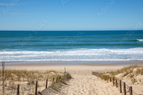 Obraz na płótnie sandy pathway dunes sand access sea atlantic ocean beach in grand crohot in lege cap-ferret France w salonie