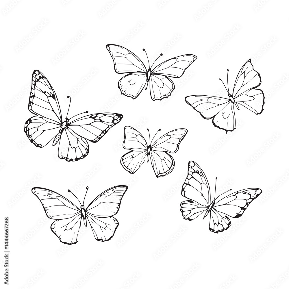 Butterfly flying in elegant decorative line art style Butterfly flying in elegant decorative line art style