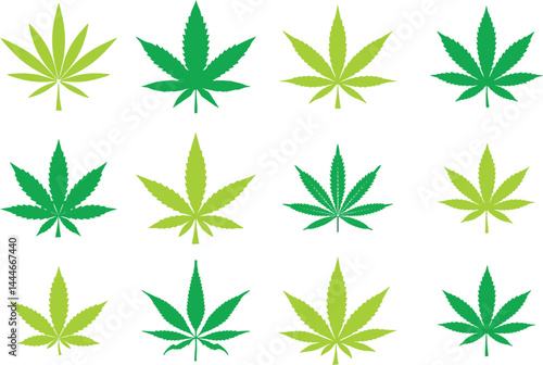  Cannabis leaves isolated on white background. Marijuana, Sativa and Indica stock images. Recreational addiction, medicine manufacturing and medicinal drug usage. Editable vector, EPS 10