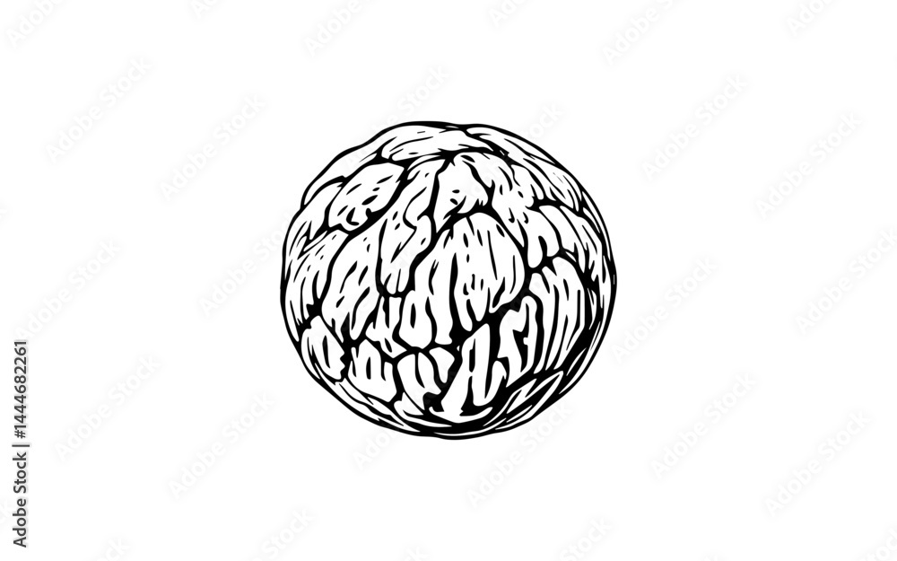 black and white vector illustration of Black lime, small wrinkled round fruit with dried skin texture, thick black outlines on a white background.
black and white vector illustration of Black lime, small wrinkled round fruit with dried skin texture, thick black outlines on a white background.