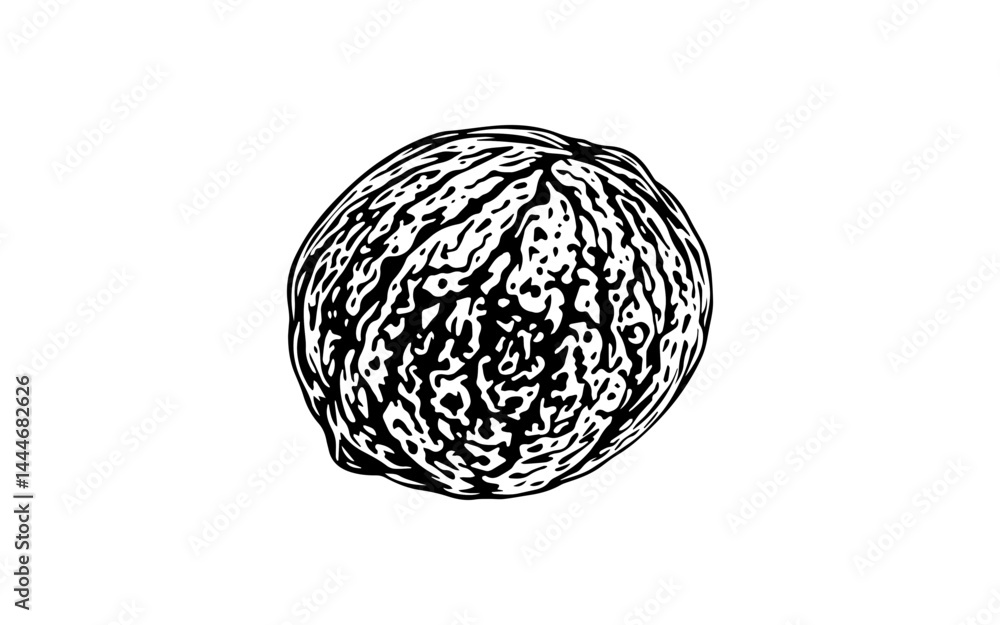 black and white vector illustration of Black lime, small wrinkled round fruit with dried skin texture, thick black outlines on a white background.
black and white vector illustration of Black lime, small wrinkled round fruit with dried skin texture, thick black outlines on a white background.