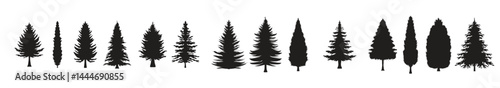 Collection of pine tree silhouettes. Various shapes of fir tree silhouettes.