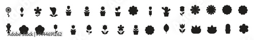 flower icons vector illustrator, floral, rose, cactus