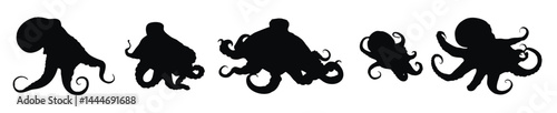 Octopus silhouette bundle. Octopus with tentacles silhouette set vector. Octopus crawling silhouette bundle design. Sea creatures vector on a white background. Squids in different positions.