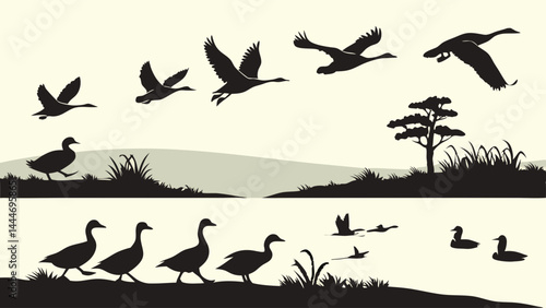 Black Silhouette Geese and Ducks Flying Walking Swimming Nature Landscape Vector